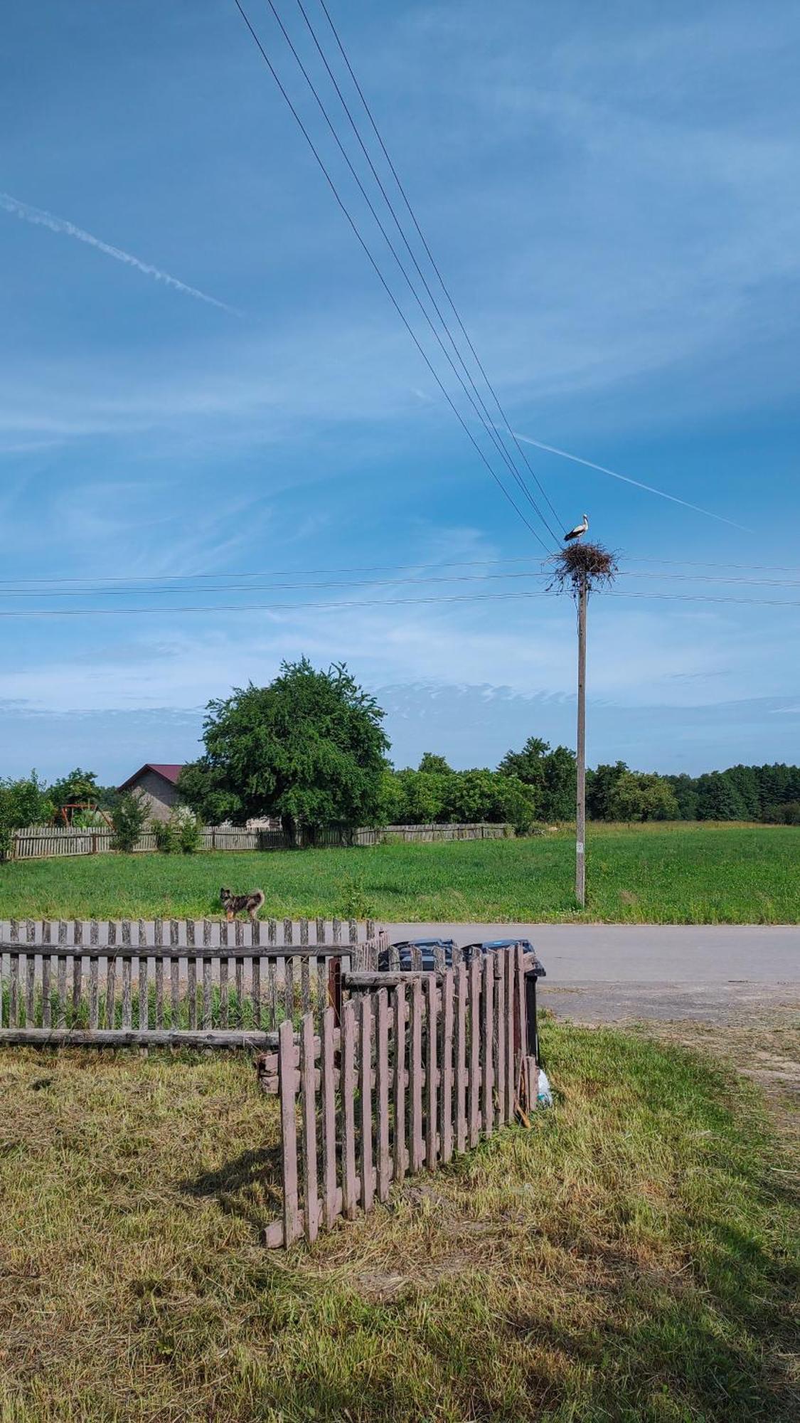 Domek Z Ogrzewaniem Podlogowym Wyszki Exterior foto